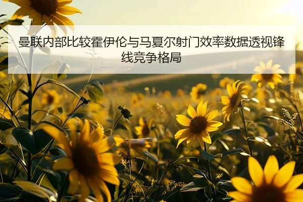 曼联内部比较霍伊伦与马夏尔射门效率数据透视锋线竞争格局